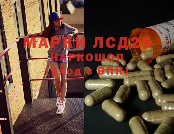 спайс Беломорск