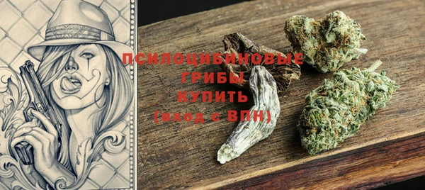 стаф Белоозёрский