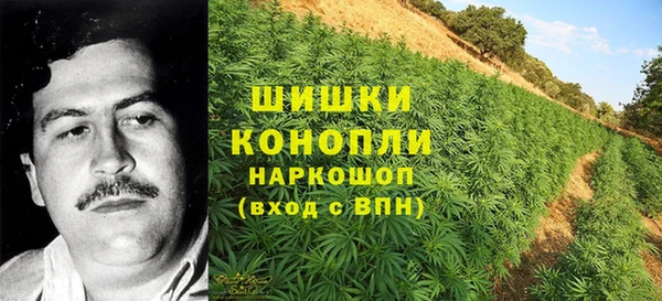 спайс Беломорск