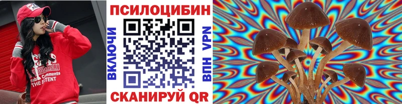 МЕГА как зайти  Острогожск  Галлюциногенные грибы Cubensis  закладка 