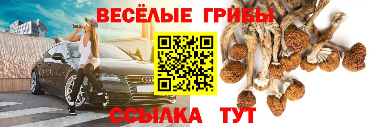 Галлюциногенные грибы ЛСД Острогожск